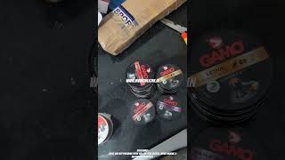 Most powerful Gamo air rifleairgun pellets in India made in Spainshorts [upl. by Tristan326]