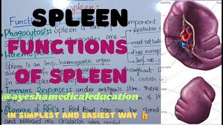 FUNCTIONS OF SPLEEN  SPLEEN ANATOMY 4  ayeshamedicaleducation [upl. by Arelus]