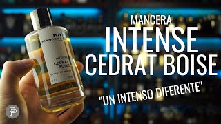 ¿ES DIFERENTE INTENSE CEDRAT BOISE  PP [upl. by Torhert]