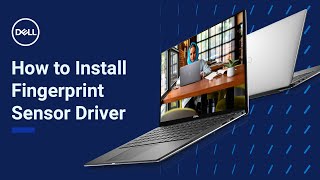 How to Install Fingerprint Sensor Driver Windows 11 Official Dell Tech Support [upl. by Nairehs]