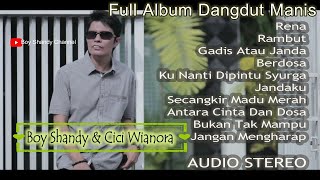 Full Album Dangdut Boy Shandy amp Cici Wianora  Rena Rena [upl. by Silvia871]