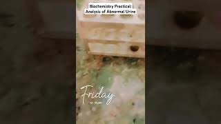 Biochemistry Practical Analysis of Abnormal Urine in 1st year MBBS mbbs medico shorts biochem [upl. by Ahsatsana]