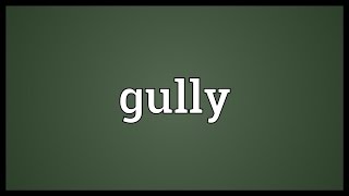 Gully Meaning [upl. by Cartwright]