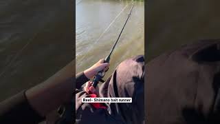 Carp vs Shimano Baitrunner [upl. by Atyekram]