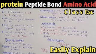 Proteins  Amino Acid Formula  Peptide Bond  Class 11 Biology UrduHindi [upl. by Clance]