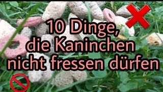 10 Dinge die du deinem Kaninchen nicht verfüttern solltest [upl. by Naud]