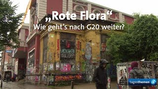 Nach G20 Wie geht es weiter mit der quotRoten Floraquot [upl. by Fontes]