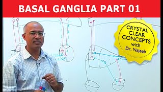 Basal Ganglia  Neuroanatomy  Part 13 [upl. by Henry]