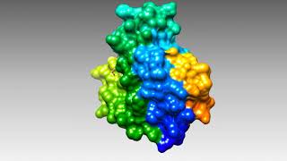 Introduction to Hemoglobin and Myoglobin [upl. by Kenwee]