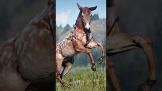 RARE Horses Location in Rdr2 🤠 shorts reddeadredemtion2 rdr2 [upl. by Batish]