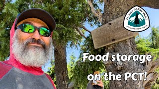 Food storage on the PCT in 130 pacificcresttrail thruhike appalachiantrail hiking backpacking [upl. by Tnahsin941]