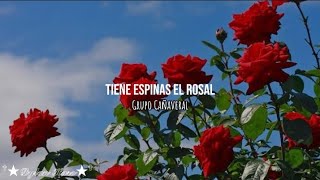 Tiene espinas el rosal  Grupo Cañaveral  Letra [upl. by Uchida]