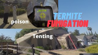 10 Termite FumigationTenting Facts You May Not Know [upl. by Llerref]