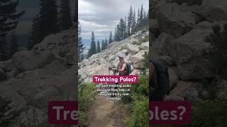 Why We Love Trekking Poles Top Benefits amp Tips 🥾🌲 hiking short rvlife [upl. by Gonyea]