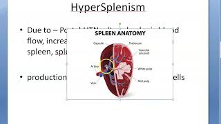 Medicine HyperSplenism Overactive spleen [upl. by Corvese]