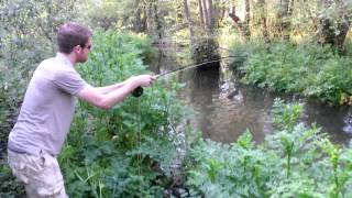 2lb lavender sweatford water chalk stream at rockbourne troutf fishery  Hampshire [upl. by Reta]