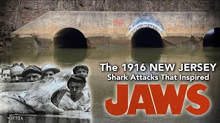 The 1916 New Jersey Shark AttacksThat Inspired JAWS 4K [upl. by Eerehs295]