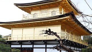 Temple of the Golden Pavilion Kinkakuji  4K Japan travel video [upl. by Droflim]