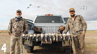 AMAZING Duck Hunt In UTAH LIMITS  Utah Duck Hunting 2022 [upl. by Dlnaod]