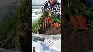 fruit naturallifeb satisfying naturalclips fruitcutting naturelife food amazing plants [upl. by Nahtaneoj]