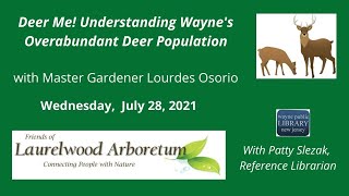 WPLLaurelwood Arboretum Series Waynes Deer Population [upl. by Nwahsiek186]