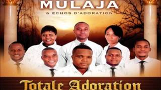 Zua Nkembo Franck Mulaja et Echos dadoration  Worship Fever Channel [upl. by Arbed]