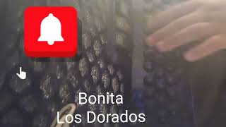 bonita Cover Los dorados en Fa [upl. by Lotsirk]