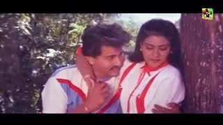 பாராமல் பார்த்த நெஞ்சம் HQ  Paaramal Paartha Nenjam Songs  Ilayaraja Hits  Mano amp Chithra Songs [upl. by Ankeny]