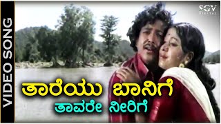 Taareyu Baanige Taavare Neerige  Video Song  Biligiriya Banadalli  DrVishnuvardhan  Rajani [upl. by Convery870]