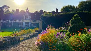 Late Summer Colour mixing cottage garden and formal planting [upl. by Aicilihp]