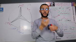 التركيب الضوئي المرحلة الكيموحيوية حلقة كالفن [upl. by Oicirbaf]