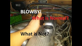 Blowby What is normal and what is not [upl. by Soma585]