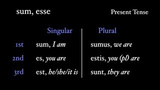 Irregular Verbs sum esse [upl. by Aniretak358]