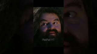 Good Bye Hagrid  RIP Robbie Coltrane 19502022  Rubeus Hagrid  Harry Potter Shorts [upl. by Edna]