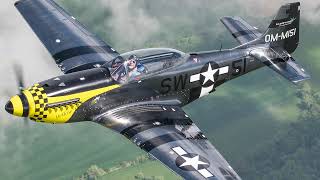 SW51 Mustang  Flight  ScaleWings Aircraft  P51 Replica  FullCarbon  Experimental category [upl. by Anairad537]