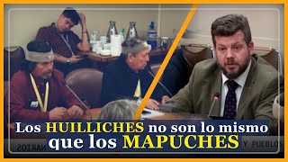 Los HUILLICHES no son lo mismo que los MAPUCHES [upl. by Ynaoj]