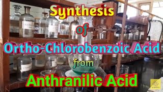 Synthesis of OrthoChlorobenzoic Acid from Anthranilic acid [upl. by Nancee]