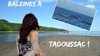 BALEINES à TADOUSSAC  Canada [upl. by Irtimd]