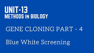 Gene Cloning Part 4  CSIR  Blue White Screening [upl. by Irme]