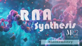 Biochemistry  RNA Synthesis quotTranscriptionquot [upl. by Sinoda]