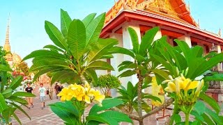 Thailand floating market Ratchaburi Damnoen saduak amp Bangkok near Grand palace 4K [upl. by Tiras]