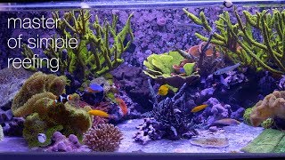 Amazing Aquariums amp Reefs Lives Up To Its Name [upl. by Dannye851]