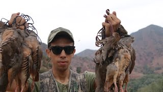 Chasse Perdrix Au Maroc 20142015 ChassePro [upl. by Aicnerolf]