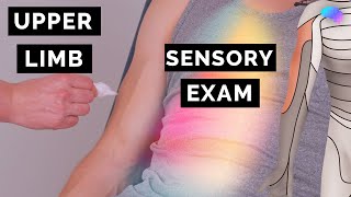 Sensory Examination of the Upper Limbs  OSCE Clip  UKMLA  CPSA [upl. by Airbmac]