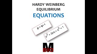 HARDY WEINBERG EQUATION [upl. by Imekawulo374]