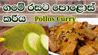 ගමේ රසට පොළොස් කරියක් හදමු  Polos CurrySri lankan Baby Jack Fruit Curry by Dils Recipes [upl. by Zhang]