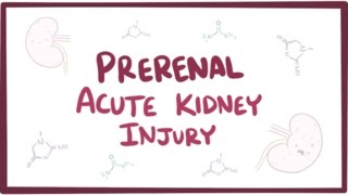 Prerenal acute kidney injury acute renal failure  causes symptoms amp pathology [upl. by Tarryn]