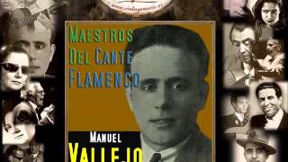 Manuel Vallejo  Fandangos Ese Mi Gusto Sería  Ni Hermosura Ni Dinero Flamenco Masters [upl. by Fotinas550]