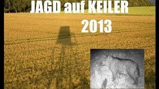 Jagd auf Keiler 2013 [upl. by Ydisahc]