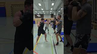 kampfsport kickboxen ingelheim [upl. by Einrae]